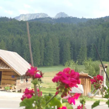 Willa Na Potoku Zakopane Exterior photo