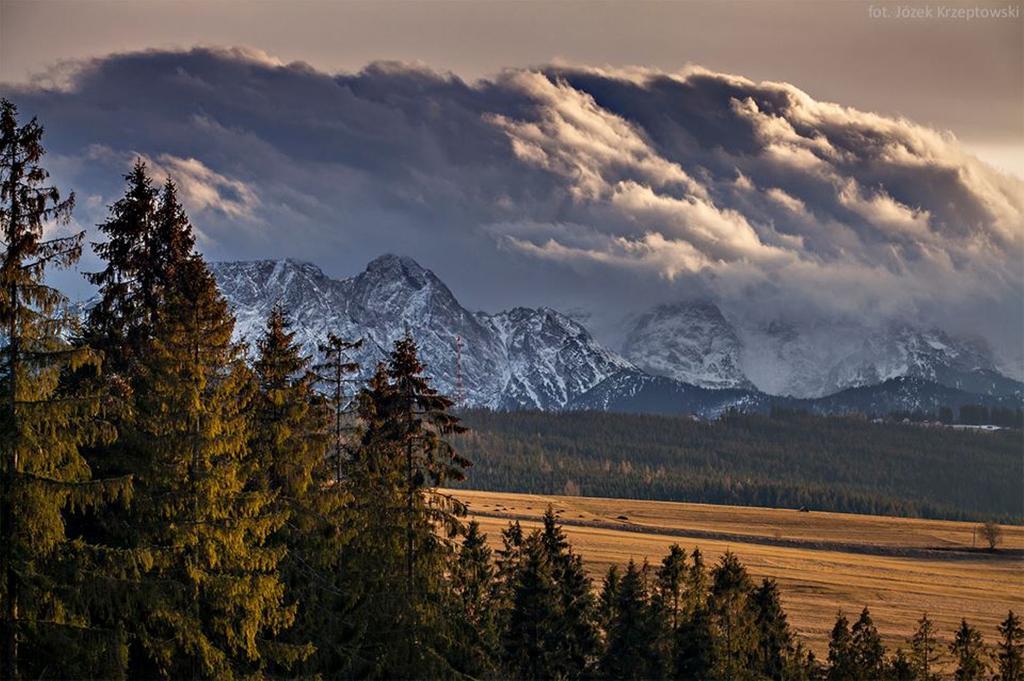 Ubytování v soukromí Na Potoku Zakopane